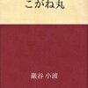 じぶんてどうして小説かいてるのかしら？　vol.2