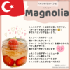 トルコへ行ったら食べたいスイーツ！マグノリア 〔Magnolia〕