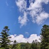 【北八ヶ岳】縞枯山と茶臼山登山に挑戦するも途中退場( ；∀；)