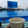 名古屋港水族館に行ってきました。