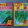 一足先に水菜とほうれん草の種まき！