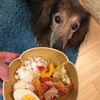 【犬ごはん】豚肉とパプリカ炒め&茹で卵のトッピング