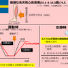 複雑な成人先天性心疾患者は、ふくらはぎの運動をした後の酸素量の回復が遅い