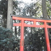 いい質問には、いい答えが返ってくる