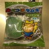 生物の分類11