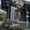 桜咲く光前寺