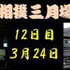 春場所12日目の８番と最高点の予想はこちら