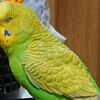 １月２１日の相場を見てみたよ　チュン