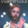 [ 聴かないデジタルより聴くアナログ | LP盤 | 2023年06月29日号 | #アンドリュー・ゴールド / #AndrewGold | ※国内盤,品番:P-10145Y | インサート付き | 盤面=EX ジャケット=EX- | #KennyEdwards 他 | 