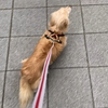 あっちもこっちも。