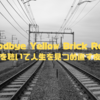 Goodbye Yellow Brick Roadを聴いて人生を見つめ直す夜
