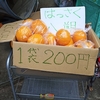 無人販売　ー　八朔　ー（はてな記事　2820）