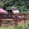 なぜヤギは岩の上に登るのか？