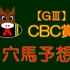 【GⅢ】CBC賞 結果