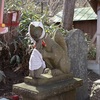 神社の墓場、高山稲荷神社に行ってみた