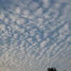 １１月１日・・・天気にな～れ♪
