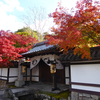 南禅寺・天授庵、水路閣の紅葉。　ー京の紅葉便りー