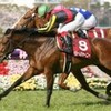 日曜競馬　回顧