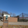 早春、花探訪