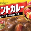 アレルギーっ子の幼稚園給食 カレー皆で食べたいよね！乳成分入りに挑戦
