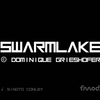 『Swarmlake』 在宅勤務の敵