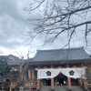 京の冬の旅　智積院と東福寺