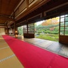 【一華院🍵】東福寺で見つけたとっておきの観光コース⛩