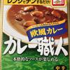 9日目：カレー職人 欧風カレー