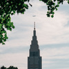 【Photo Gallery】2024.06 初夏の新宿御苑 vol.4（FE 24-70mm F2.8 GM II）