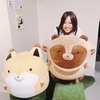 タヌキとキツネが可愛すぎて人生狂わされている