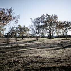 晩秋の公園にて（Part ll）