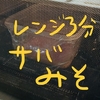 【レンジ3分】山本ゆり・サバのみそ煮は簡単うまい