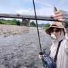 鮎の季節がやってきた