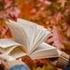 バイブルにしたい！上司・リーダーになりたて/なる前に読みたいおすすめビジネス書3選