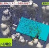 わかって来たこと
