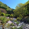 みどりの日、兵庫県宍粟市で遊ぶ