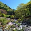 みどりの日、兵庫県宍粟市で遊ぶ