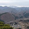 鎌倉山（ゴリラ山）登山とお花