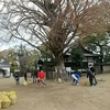 大イチョウの清掃活動