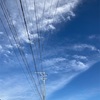 ホームページ引越し完了