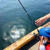 「今日どこいく？」男の子におススメの休日レジャー！魚釣りのススメ