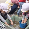 今日の幼稚園