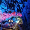 11月の沖縄ゆっくり旅・3日目・2024年冬_3