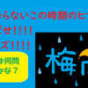 【知求倶楽部】クイズ！梅雨に関するクイズ何連発か！