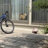 コピー、トランスクライブのススメ。