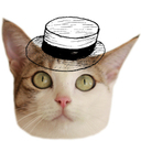 ねことならんで