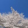伊良子清白の「不開の間」