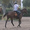 【一口馬主／ソワドリヨン】飛躍の秋へ、出資馬の先陣を切る！