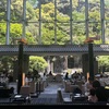 目黒雅叙園の緑