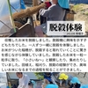 2024年11月6日 脱穀体験